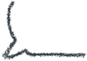 樊振东的“德国奇遇”