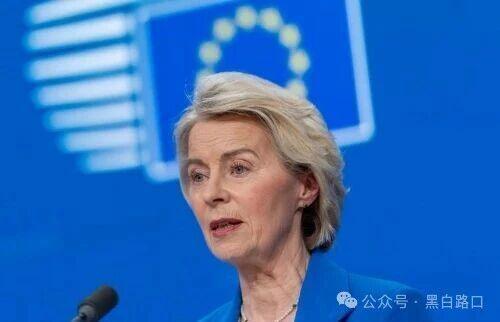 开云体育官网-3月12日俄乌：乌克兰角色的互换